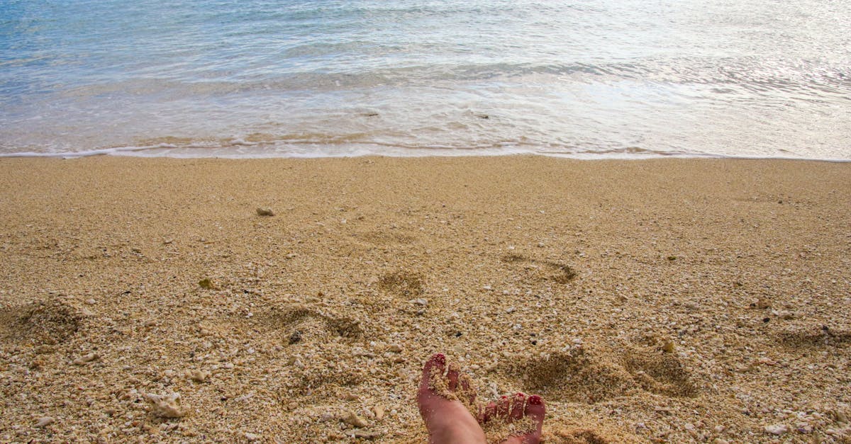 découvrez l'île maurice, un paradis tropical aux plages de sable blanc, eaux turquoise et une culture riche, idéale pour des vacances inoubliables.