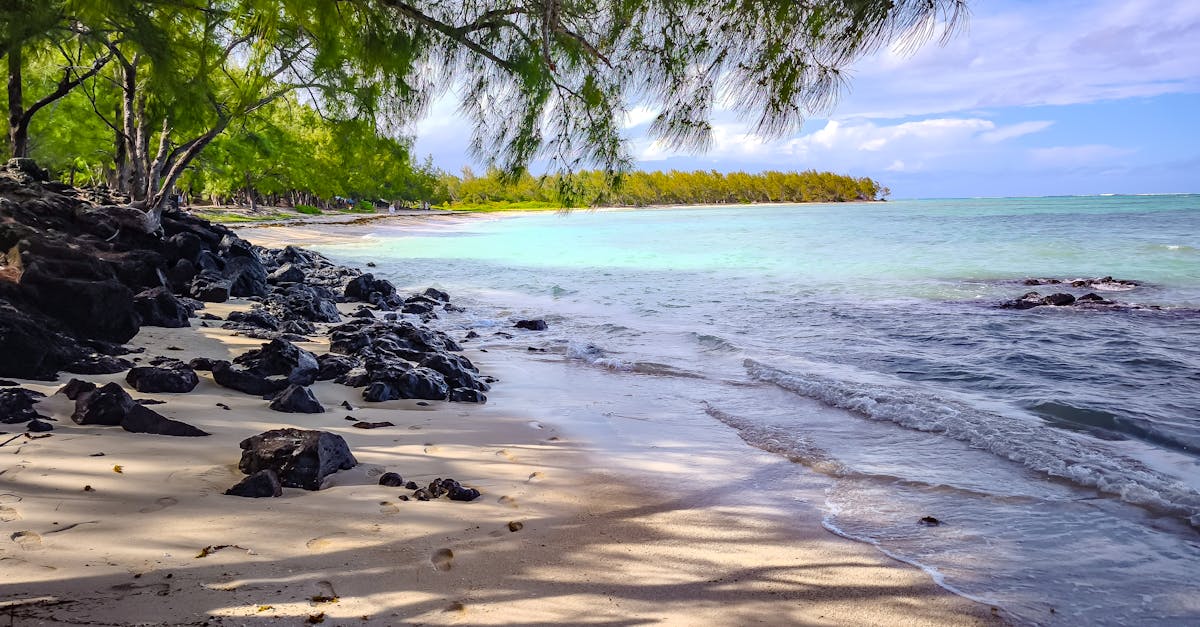 découvrez l'île maurice, un paradis tropical offrant plages de sable fin, eaux cristallines, richesses culturelles et aventures inoubliables.